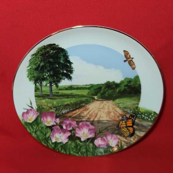 VTG Decorative Plate Royal Windsor Buttercup Wildflowers of the South Gold Trim - Picture 5 of 12